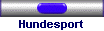 Hundesport