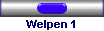 Welpen 1