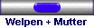 Welpen + Mutter