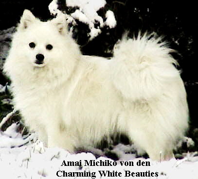 Amai Michiko von den 
       Charming White Beauties